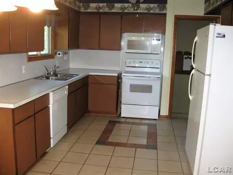 703 Brook, Tecumseh, MI 49286 photo 11