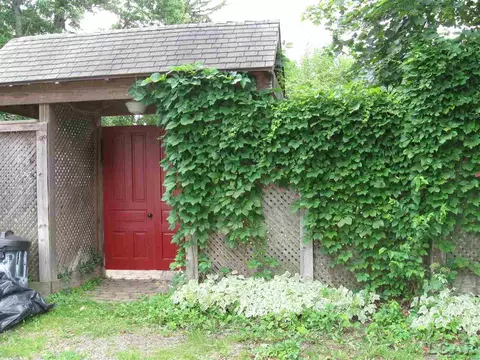 408 N Main, Britton, MI 49229 photo 5