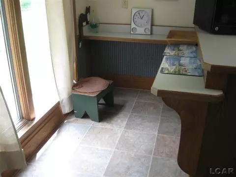 408 N Main, Britton, MI 49229 photo 25