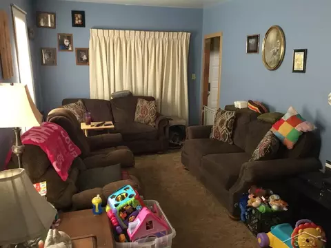213 E Vienna, Clio, MI 48420 photo 5