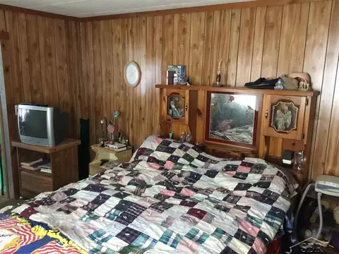 213 E Vienna, Clio, MI 48420 photo 3