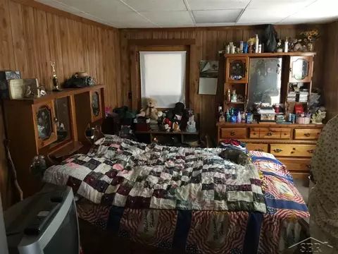213 E Vienna, Clio, MI 48420 photo 2