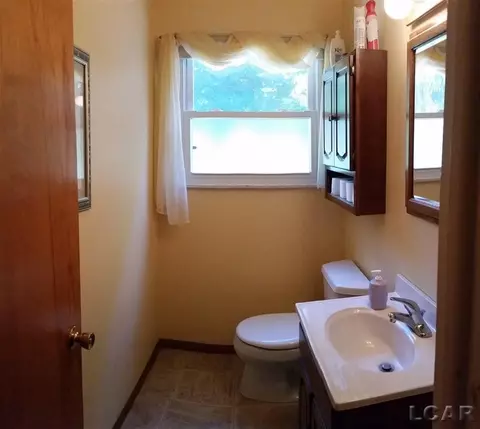 220 Maple, Tecumseh, MI 49286 photo 10