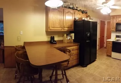 220 Maple, Tecumseh, MI 49286 photo 6