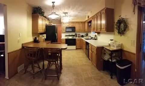 220 Maple, Tecumseh, MI 49286 photo 5