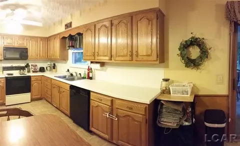 220 Maple, Tecumseh, MI 49286 photo 7