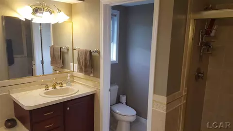 839 Stetson, Tecumseh, MI 49286 photo 40