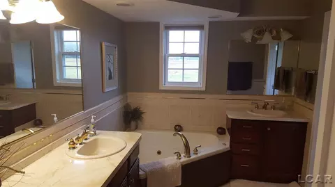 839 Stetson, Tecumseh, MI 49286 photo 39