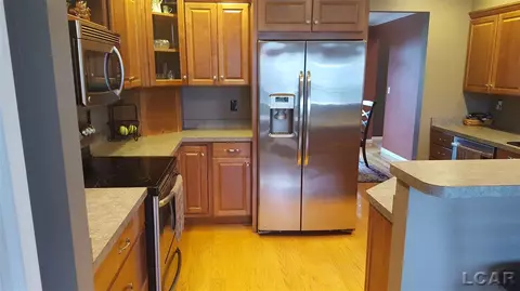 839 Stetson, Tecumseh, MI 49286 photo 10