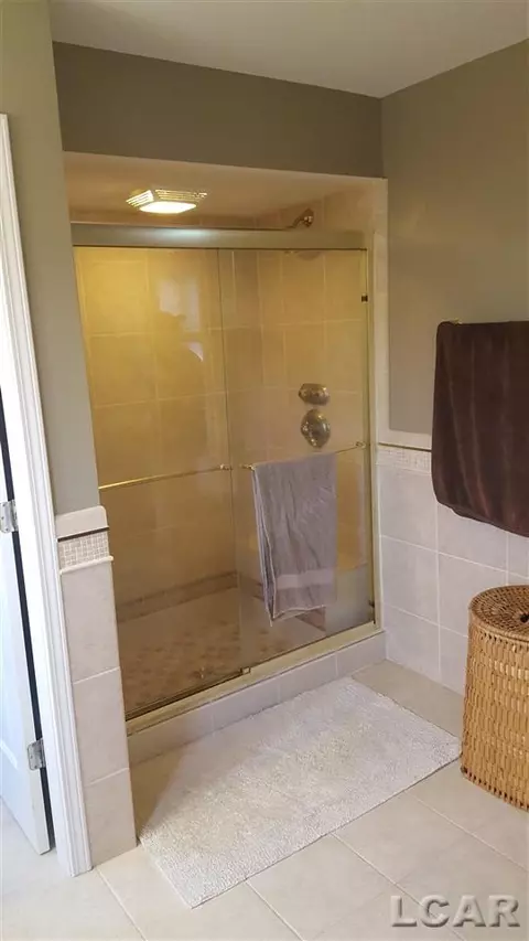 839 Stetson, Tecumseh, MI 49286 photo 44
