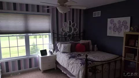839 Stetson, Tecumseh, MI 49286 photo 30