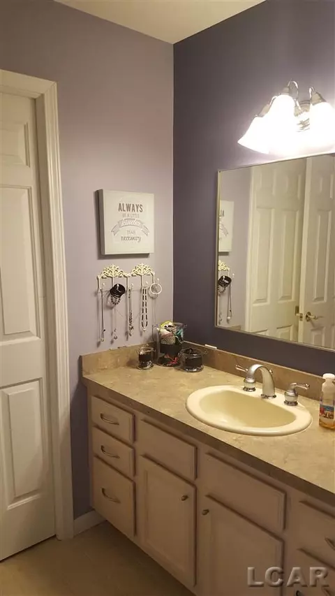 839 Stetson, Tecumseh, MI 49286 photo 31