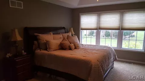 839 Stetson, Tecumseh, MI 49286 photo 34