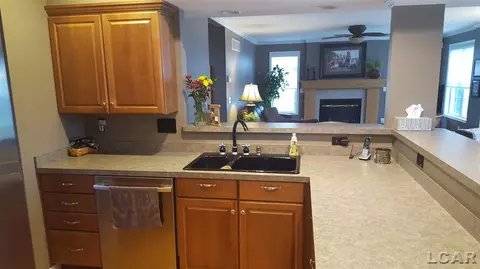 839 Stetson, Tecumseh, MI 49286 photo 11