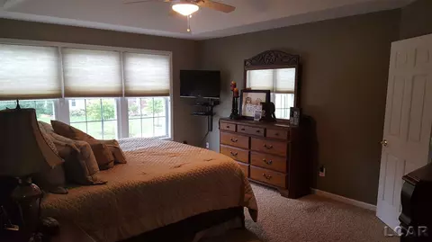 839 Stetson, Tecumseh, MI 49286 photo 35