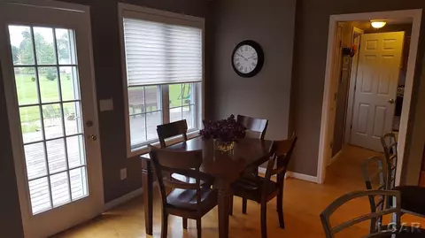 839 Stetson, Tecumseh, MI 49286 photo 8