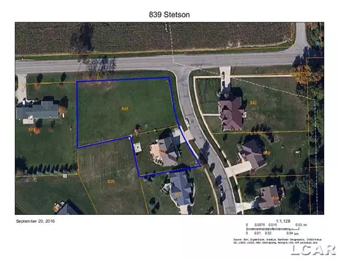 839 Stetson, Tecumseh, MI 49286 photo 46