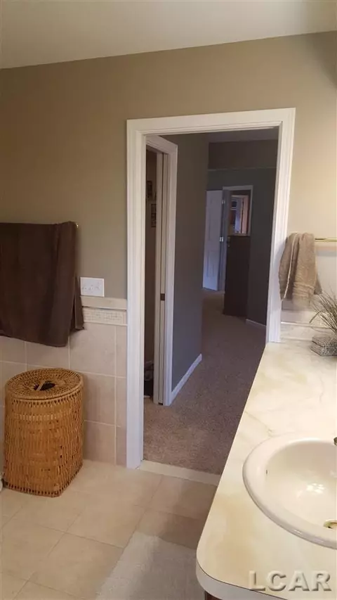 839 Stetson, Tecumseh, MI 49286 photo 42