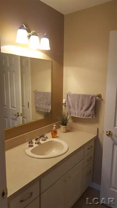 839 Stetson, Tecumseh, MI 49286 photo 29