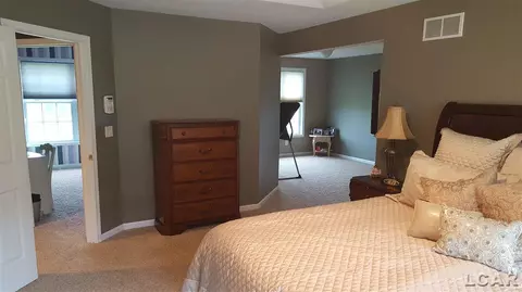 839 Stetson, Tecumseh, MI 49286 photo 36
