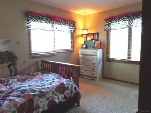 415 N Hunter, Capac, MI 48014 photo 8