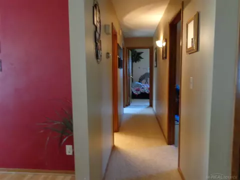 415 N Hunter, Capac, MI 48014 photo 5