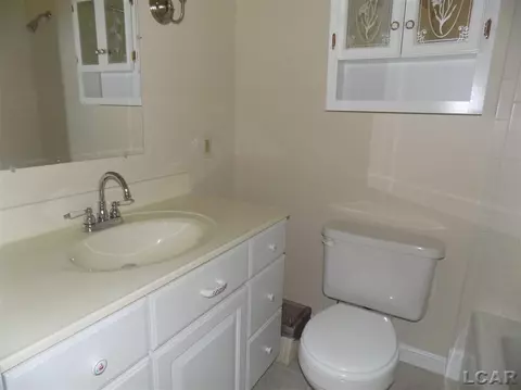 116 Maple, Tecumseh, MI 49286 photo 25