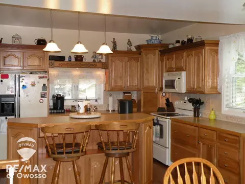 507 E Williams, Owosso, MI 48867 photo 9