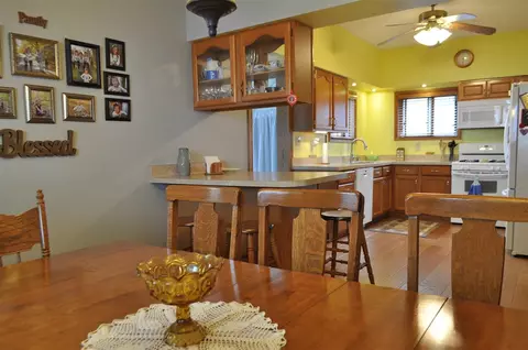 215 E Oak, Ovid, MI 48866 photo 11