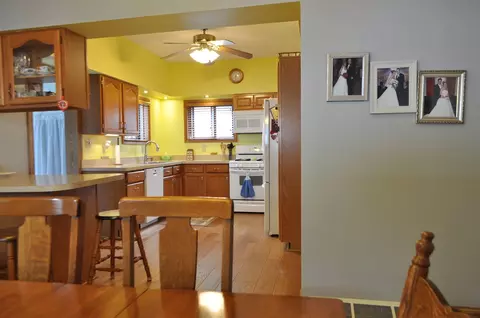 215 E Oak, Ovid, MI 48866 photo 10