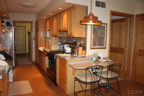 401 Burt, Tecumseh, MI 49286 photo 9