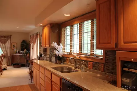 401 Burt, Tecumseh, MI 49286 photo 11