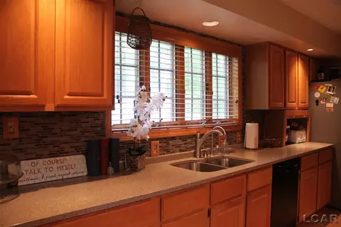 401 Burt, Tecumseh, MI 49286 photo 8