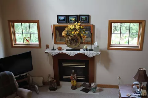 401 Burt, Tecumseh, MI 49286 photo 5