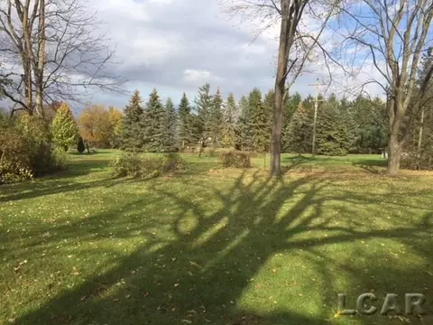 297 E Chicago, Britton, MI 49229 photo 4