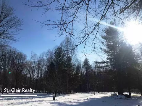 7749 Puttygut, East China, MI 48054 photo 2