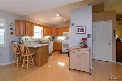 3102 Cobblestone, Tecumseh, MI 49286 photo 18