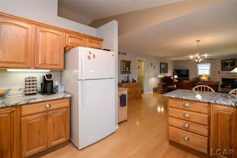 3102 Cobblestone, Tecumseh, MI 49286 photo 20