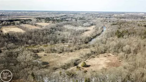 7513 Gibbons, Grant, MI 48032 photo 9