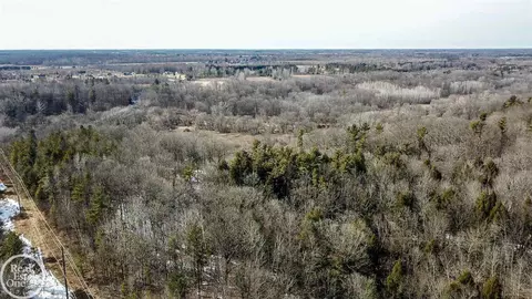 7513 Gibbons, Grant, MI 48032 photo 7