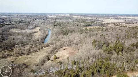 7513 Gibbons, Grant, MI 48032 photo 13