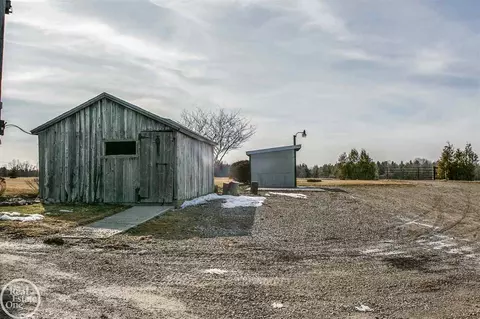 7513 Gibbons, Grant, MI 48032 photo 1