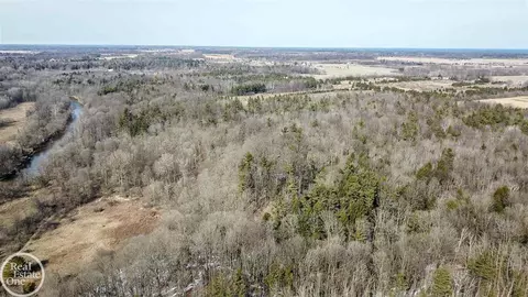 7513 Gibbons, Grant, MI 48032 photo 10