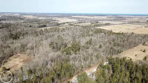 7513 Gibbons, Grant, MI 48032 photo 11