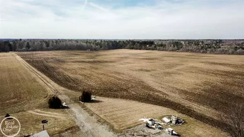 7513 Gibbons, Grant, MI 48032 photo 3