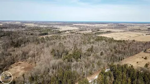 7513 Gibbons, Grant, MI 48032 photo 12