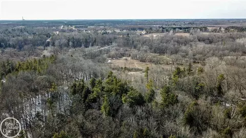 7513 Gibbons, Grant, MI 48032 photo 6