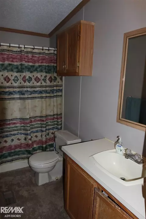 9560 Puttygut, Casco, MI 48064 photo 18