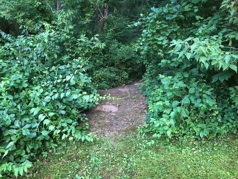 335 E Wise Rd, Other, MI 48382 photo 16