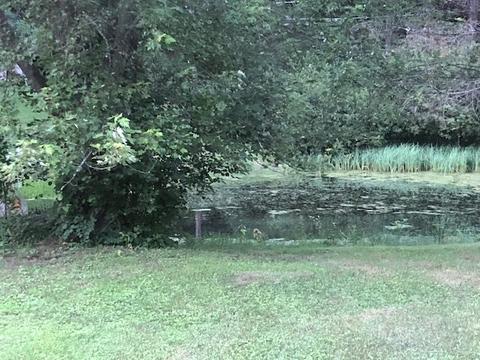 335 E Wise Rd, Other, MI 48382 photo 13